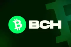 Bitcoin Cash (BCH)...