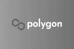 Анализ на Polygon...