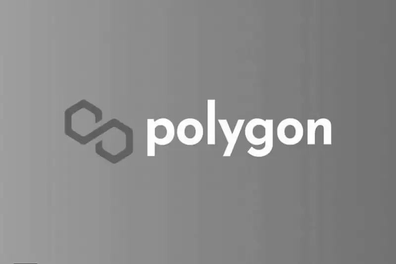 Анализ на Polygon...