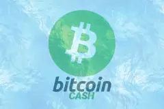 Bitcoin Cash (BCH)...