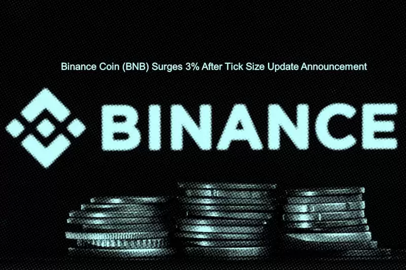 Binance Coin (BNB...