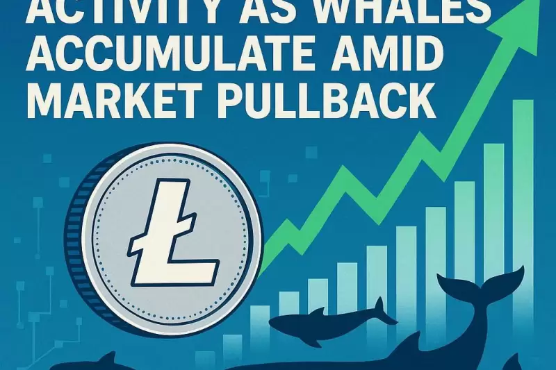 Litecoin Price Su...